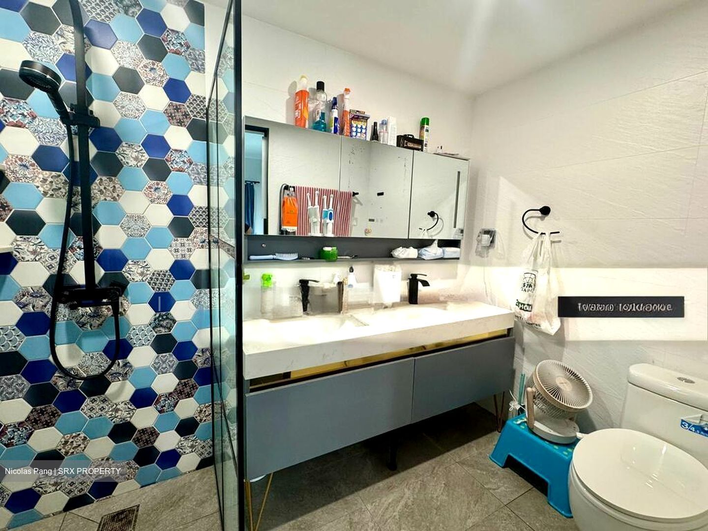 The Rivervale (D19), Condominium #501655381